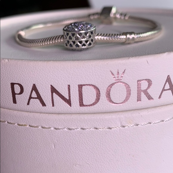 Pandora Opulent Flower Charm and bracelet - Picture 4 of 5